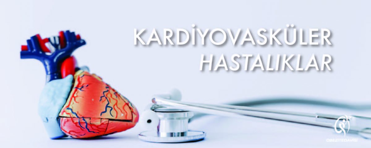 OBEZITEDAVISI-36-1200x481.jpg